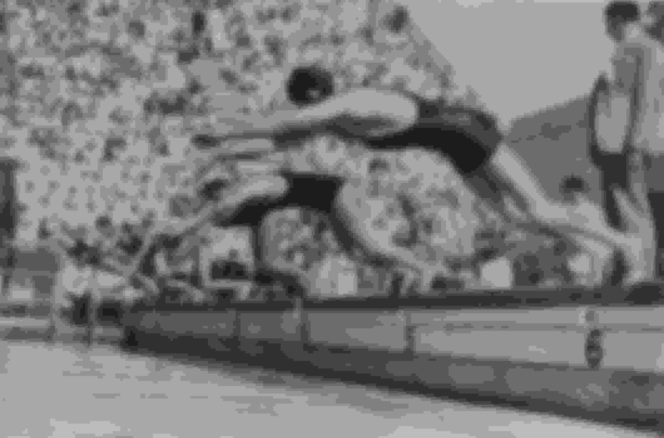 1932 Los Angeles Olympics Game Changers