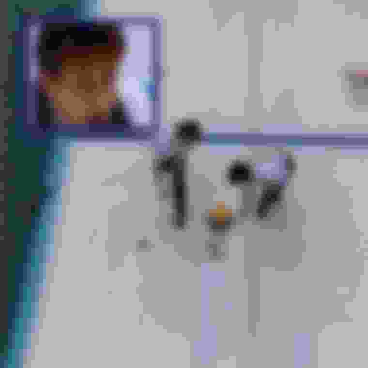 Canadians Take First Women's Curling Gold Home