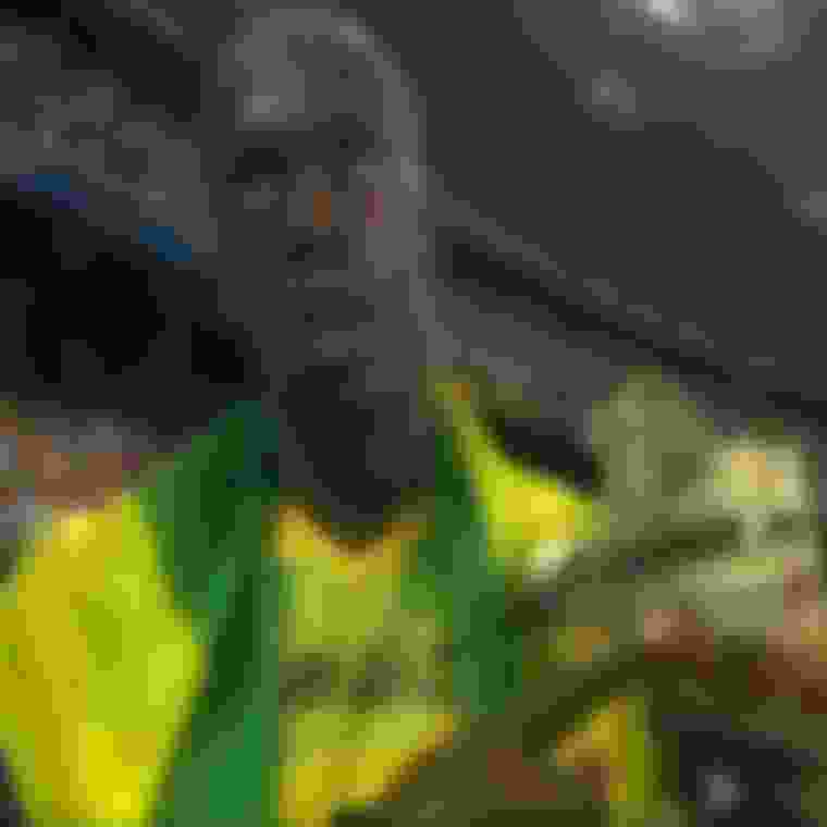 Athletics Men 100m Final Beijing 2008 World Record – Usain Bolt