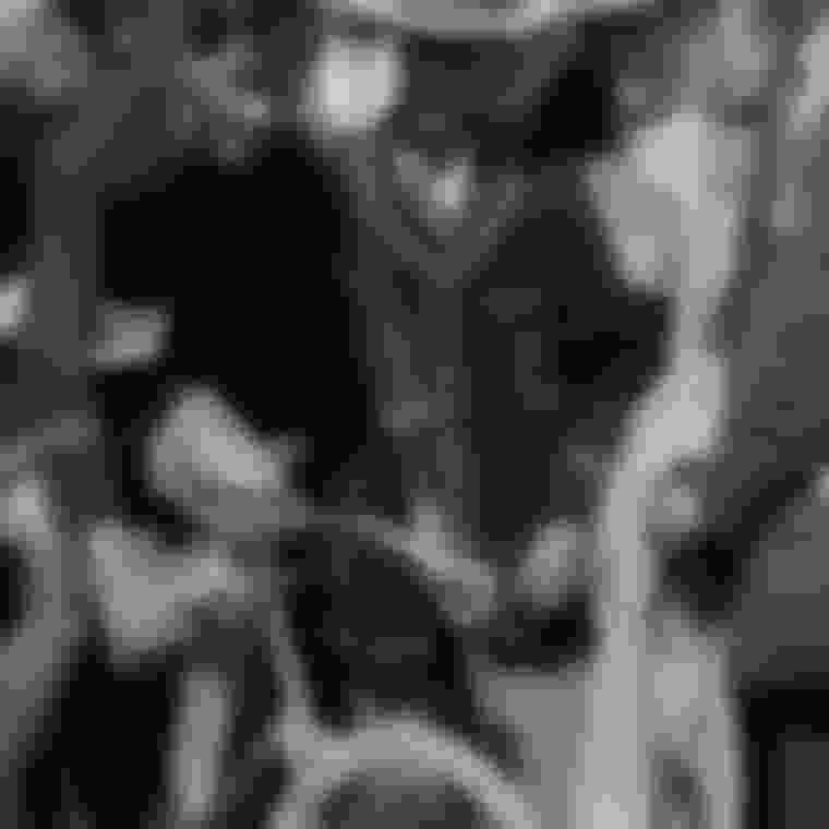 ルドルフ・ルイスが自転車競技で金|ストックホルム1912ハイライト
