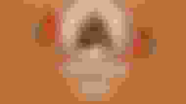 IOC難民選手団ハイライト！ | ベストシーン