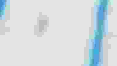 In Their Own Words: 'Jungle' Jim Hunter's journey to skiing stardom