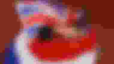 #Tokyo2020 真のオリンピックスピリット