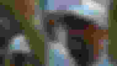 Agassi Adds a Gold Medal to His Amazing CV