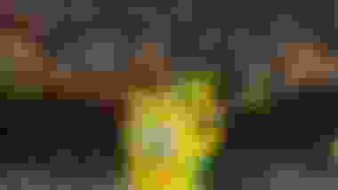 "One of those moments you'll never forget": Remembering Bolt's Beijing 100m