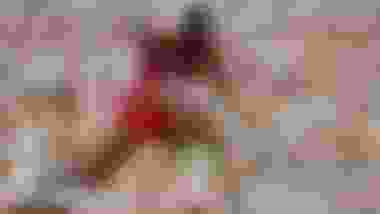 In their own words: Engineering a legend