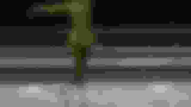 グルノーブル1968 冬季オリンピック アスリート、メダル&結果