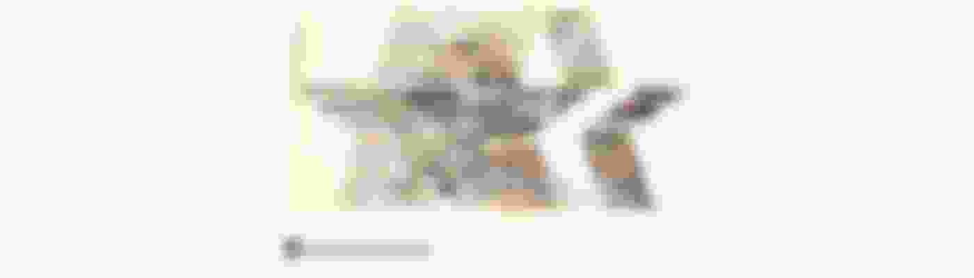 Los Angeles 1984 Olympic Posters Design Evolution