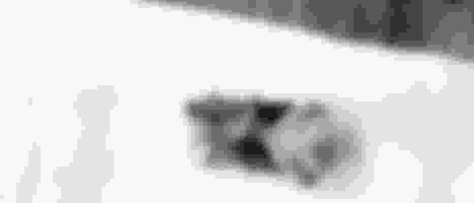 レークプラシッド1932 冬季オリンピック アスリート、メダル&結果