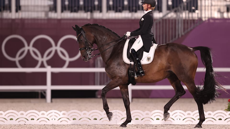 How to qualify for equestrian dressage at Paris 2024. The Olympics