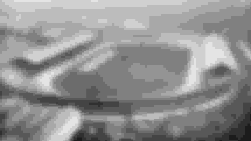 Look to the past the story of figure skater Madge Syers, first woman