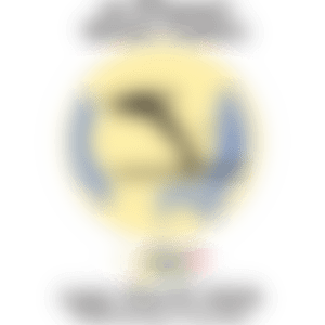 レークプラシッド1932オリンピックロゴ ポスター 大会ルック