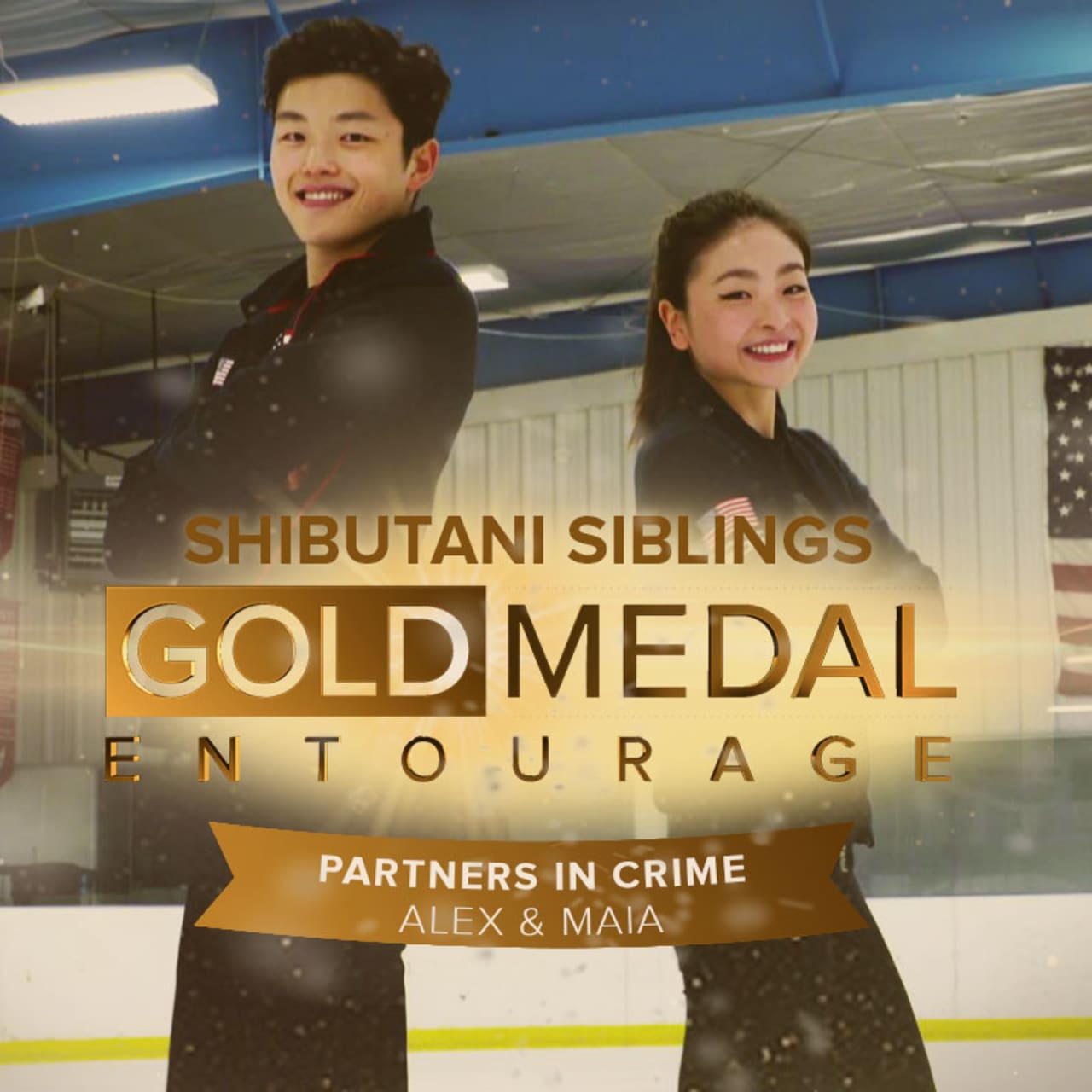 相棒 五輪を経験したアイスダンサー兄妹は通称 Shibsibsのyoutuber
