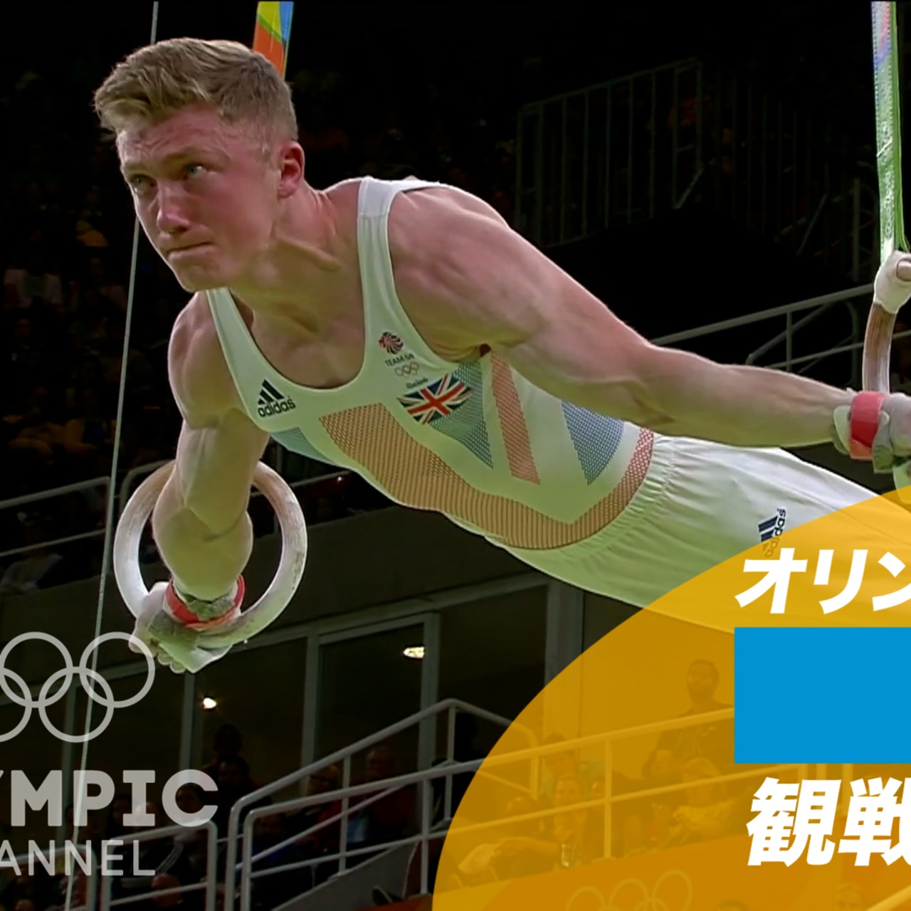 オリンピック競技 観戦ポイント 体操