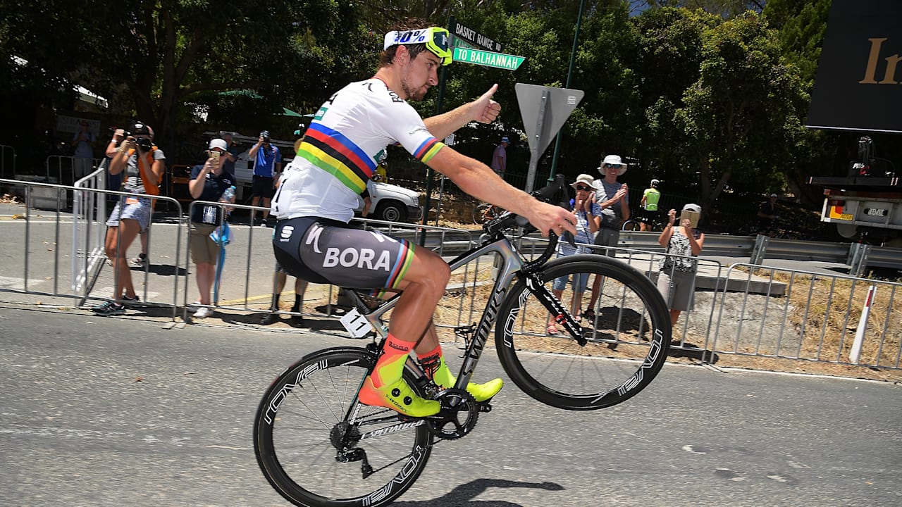 sagan bicycle