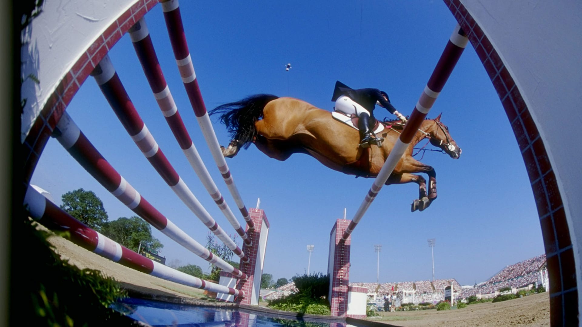 Fouaad Mirza is also the first Indian equestrian to qualify for the Games in 20 years- Sportz Point