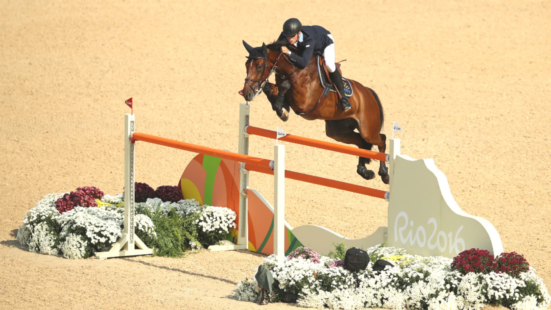 障害馬術は人馬一体となって障害物を飛び越え ミスの少なさと走行時間を争う