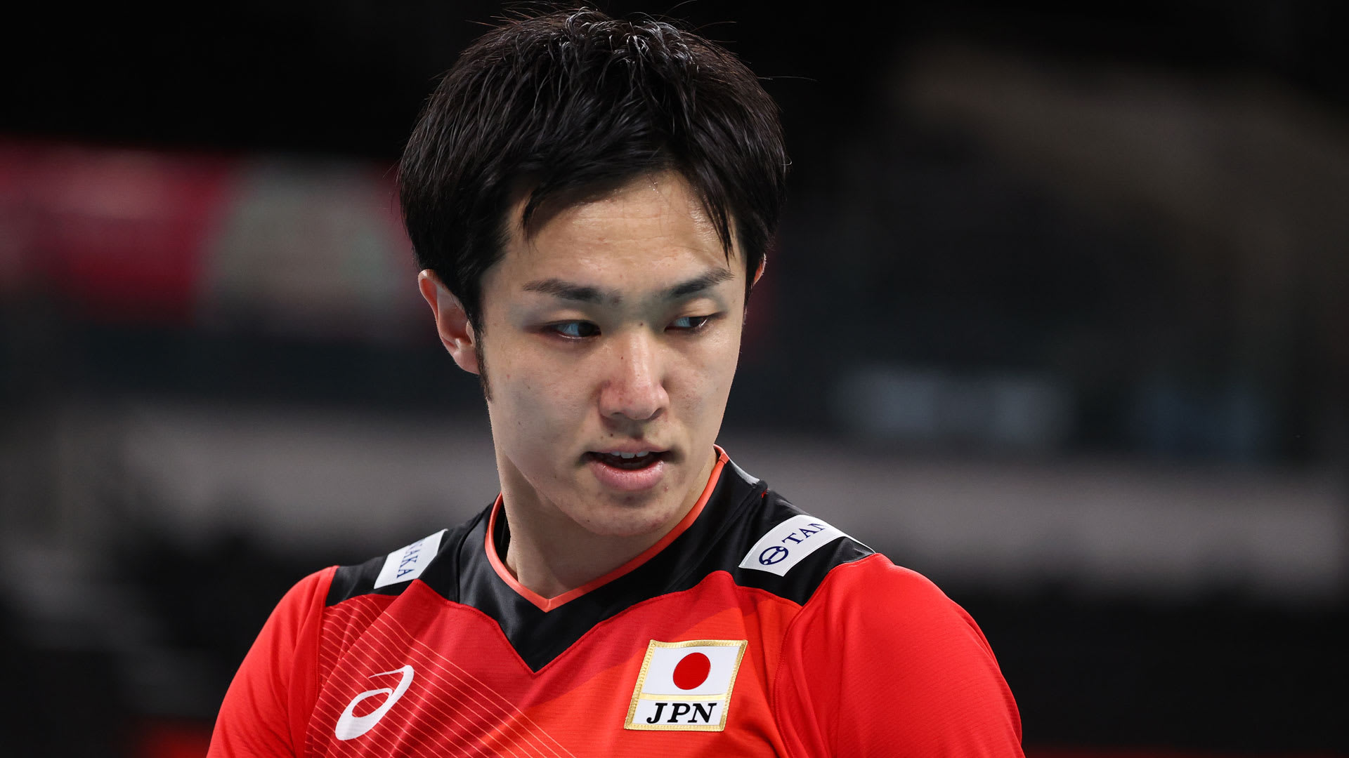 返品送料無料 東レアローズ 藤井直伸 選手 ユニフォーム バレーボール Www Iannipartners Com
