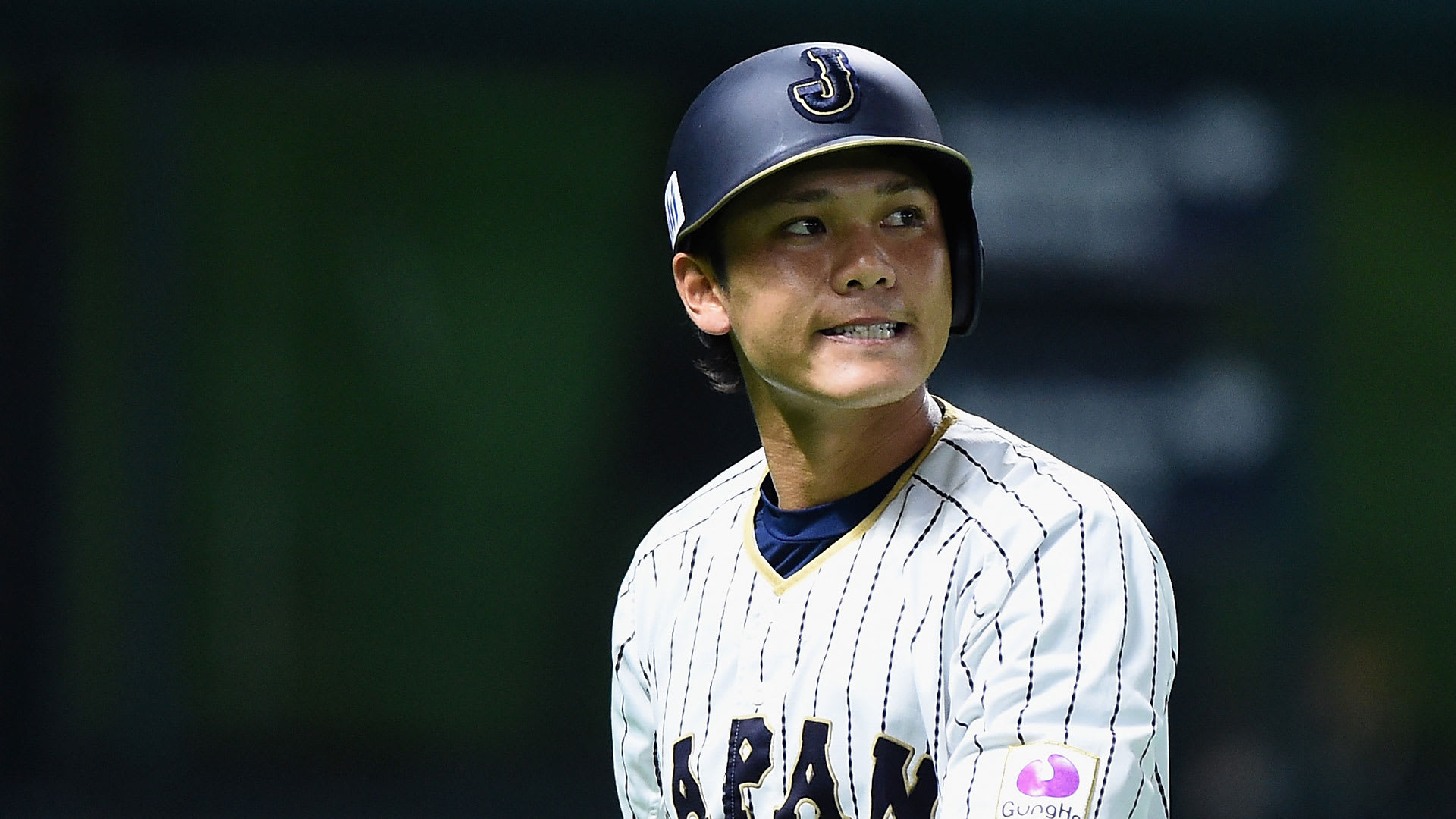 トップ100 侍 ジャパン 壁紙 侍 ジャパン 坂本勇人 最高の花の画像