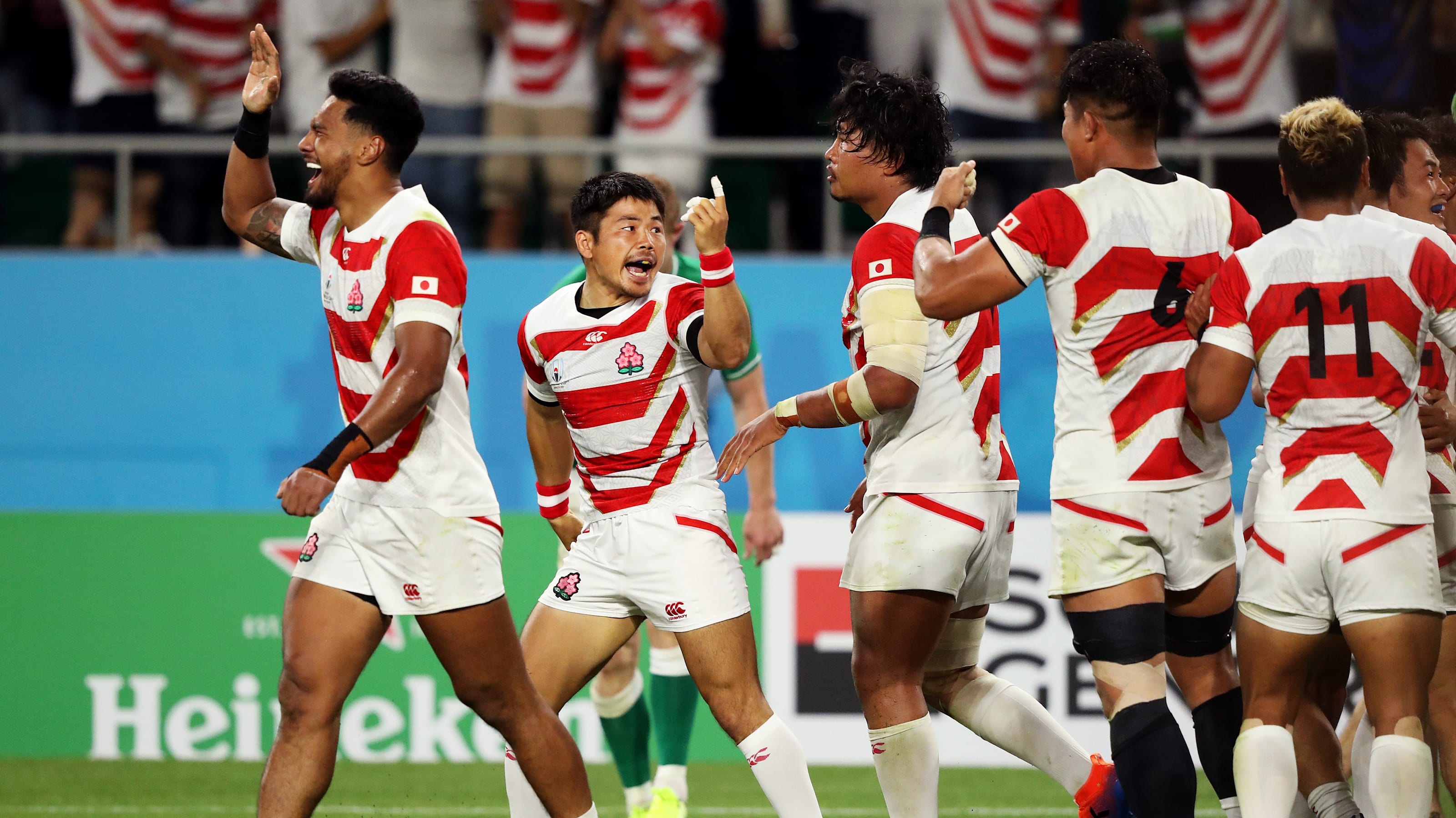 激レア！ ブリティシュアイリッシュライオンズ 対戦記念 日本代表