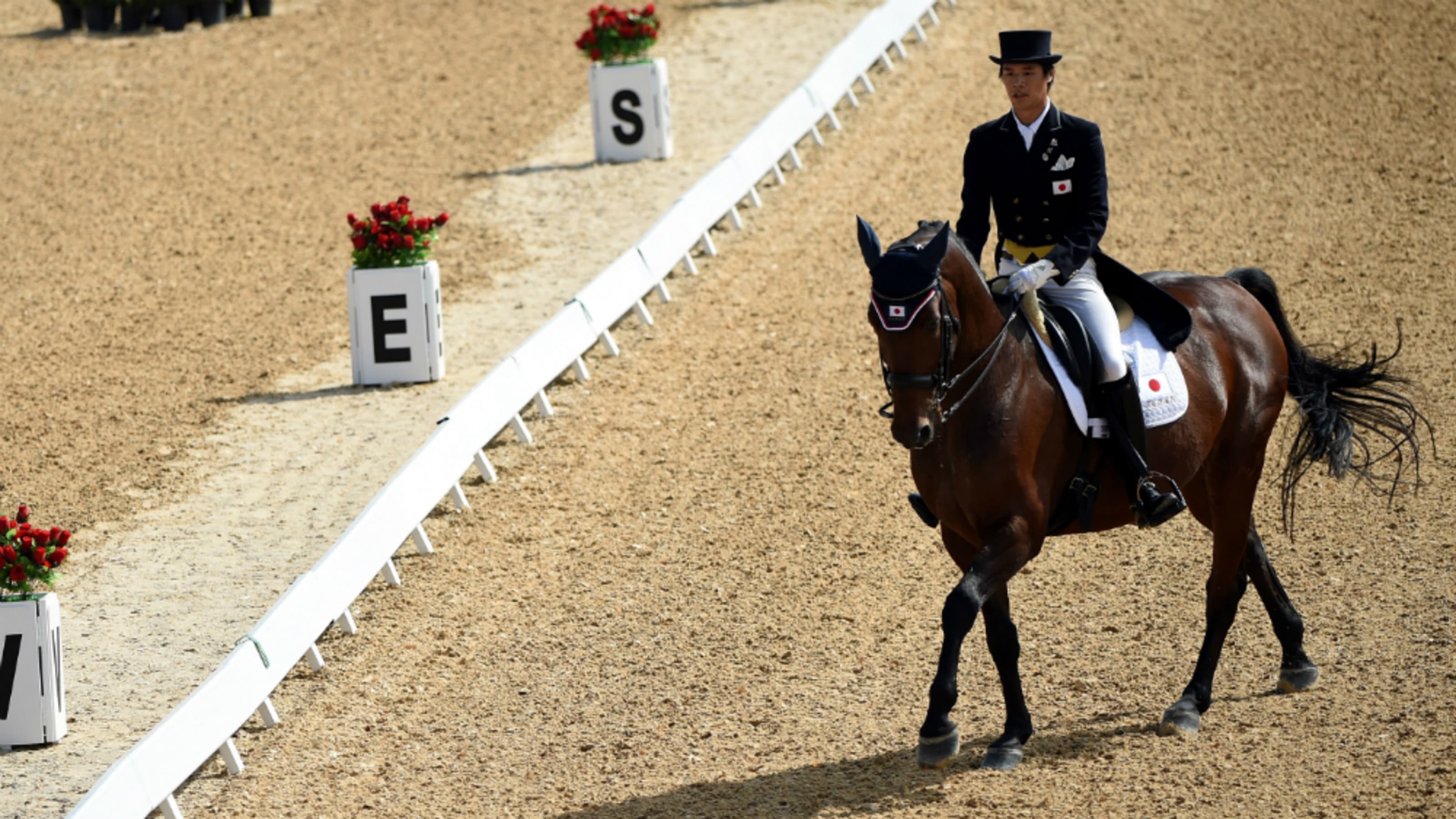 佐渡一毅 日本馬術界の有望株は 名馬バローロ号とともに欧州で修業を積む