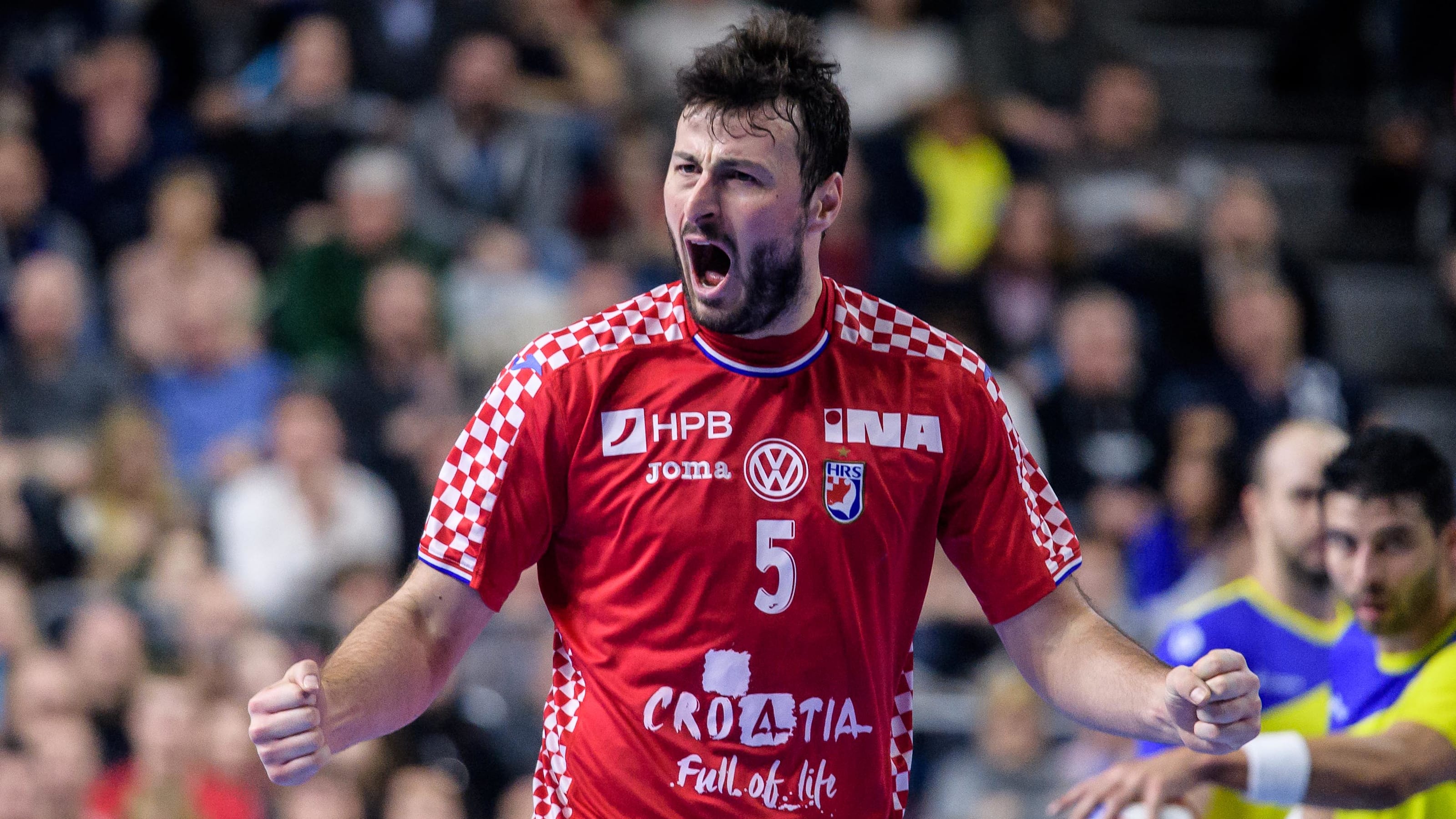 Domagoj Duvnjak: Croatia's handball hero