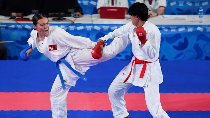 Karate1プレミアリーグ東京大会 来月初旬の開幕迫る Tv放送も予定