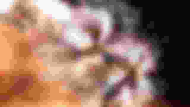 Olympic Ceremonies Channel: Relive the magic of some of the best Olympic Games Ceremonies