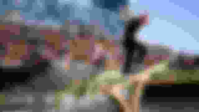 Shane O'Neill wins surprise X Games skateboard street gold, Nyjah Huston fifth