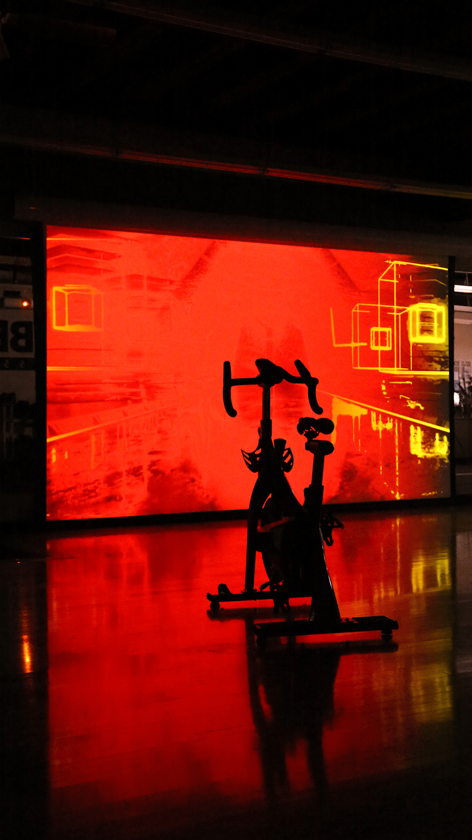 Desempenho <br>& <br>bem-estar