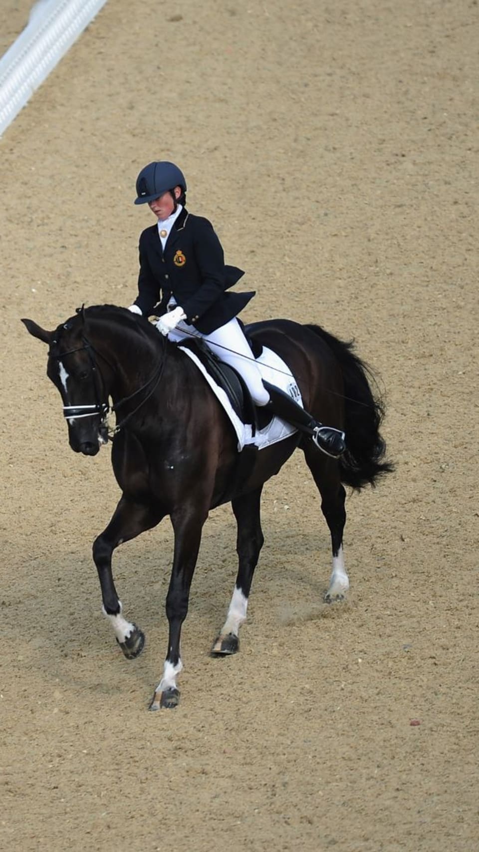 Para equestrian (para dressage) Paris 2024