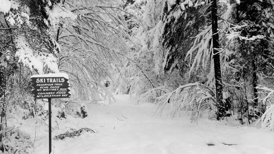Photo Ancienne Des Jeux Olympiques 1932 à Lake Placid – Cérémonie D'ouverture
