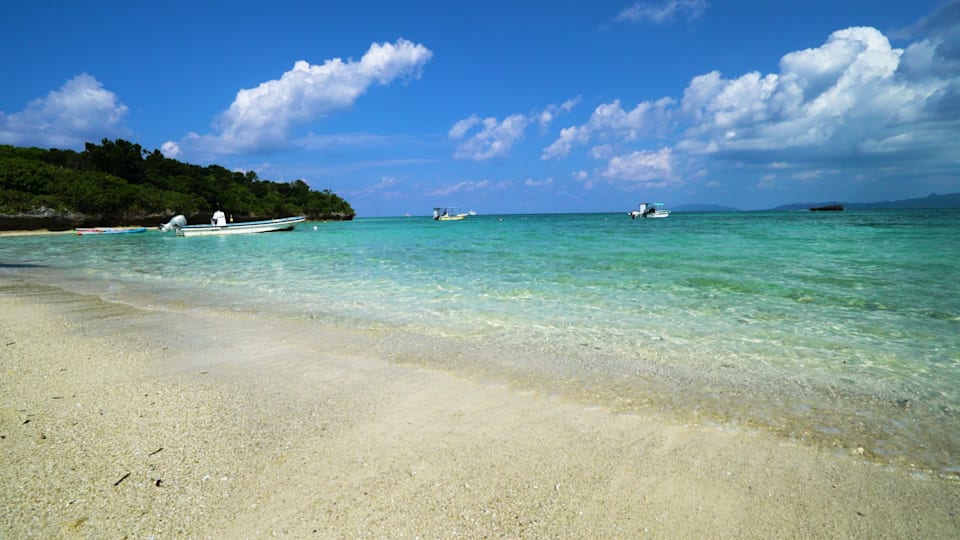 Eastern Kyushu and Okinawa highlights