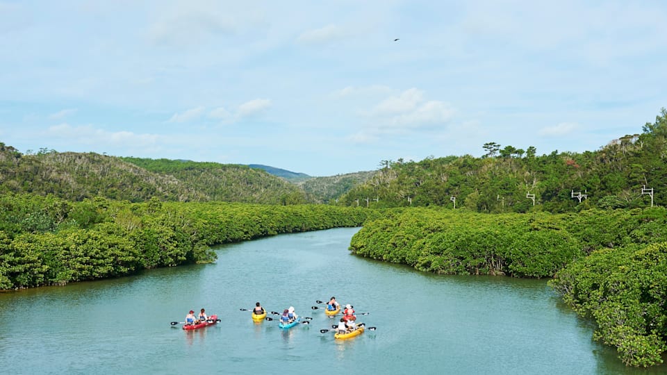 Eastern Kyushu and Okinawa highlights