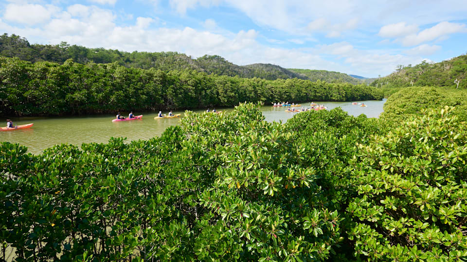 Eastern Kyushu and Okinawa highlights