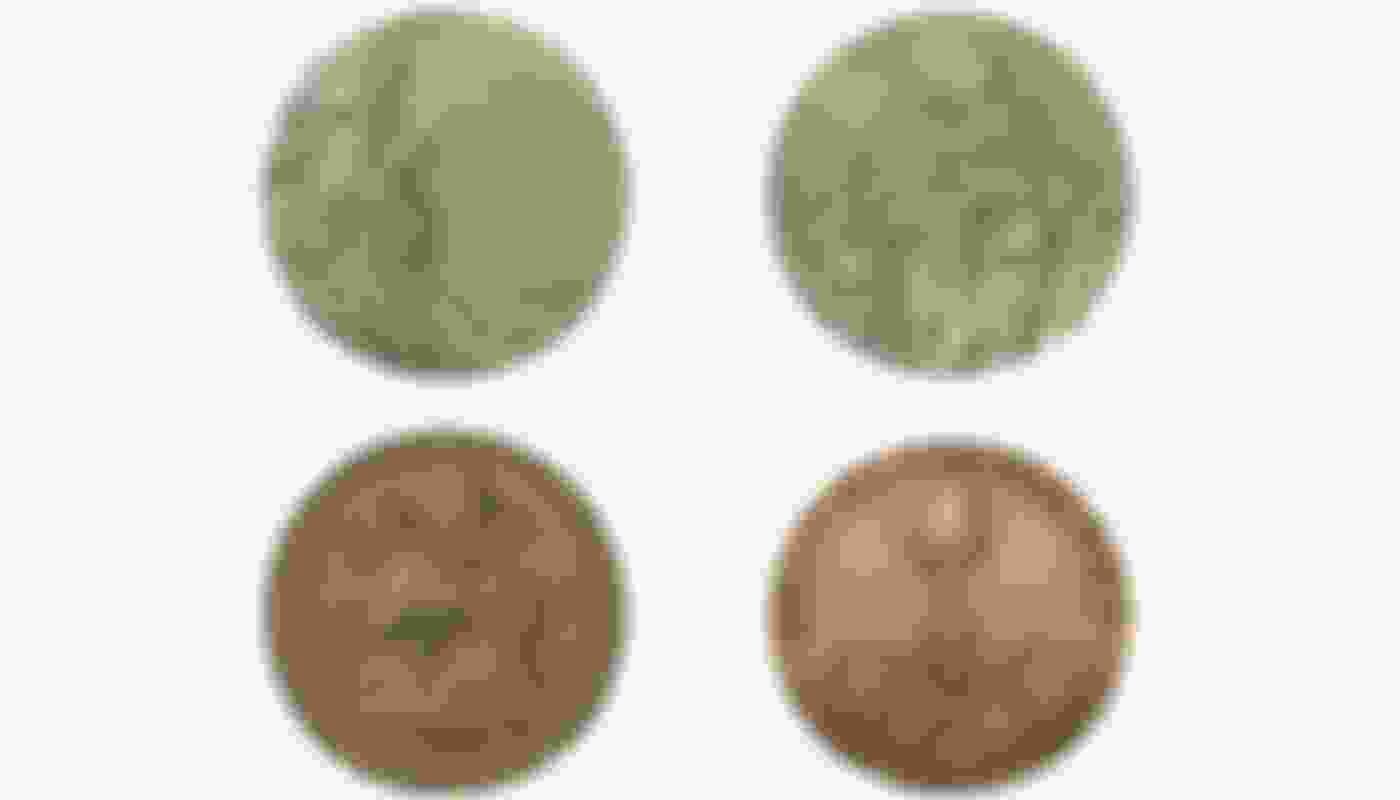 1956年墨尔本奥运会奖牌 设计、历史和图片