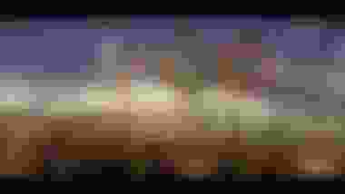 Best Moments of the 2014 Sochi Olympic Winter Games