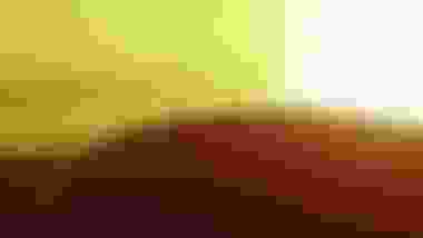 14年索契冬奥会冬奥会 运动员 奖牌和比赛结果