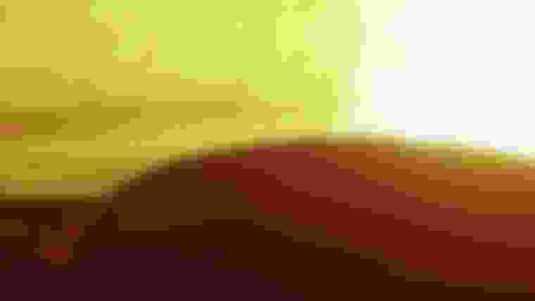 The Summary of the Sochi 2014 Games