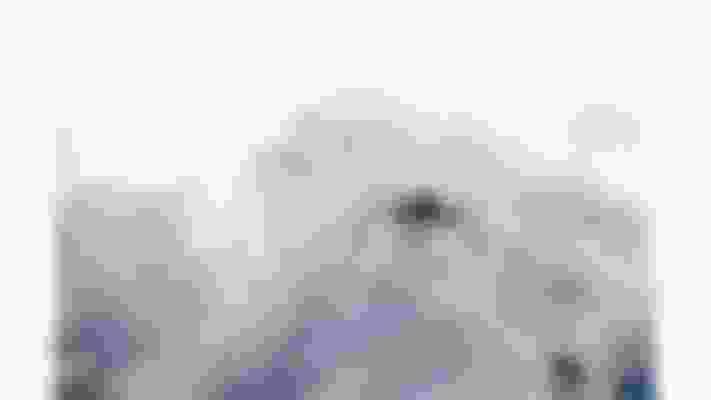 14年索契冬奥会冬奥会 运动员 奖牌和比赛结果