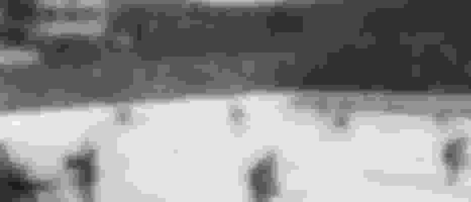 Olympische Winterspiele Garmisch Pat 1936 Athleten Medaillen Ergebnisse