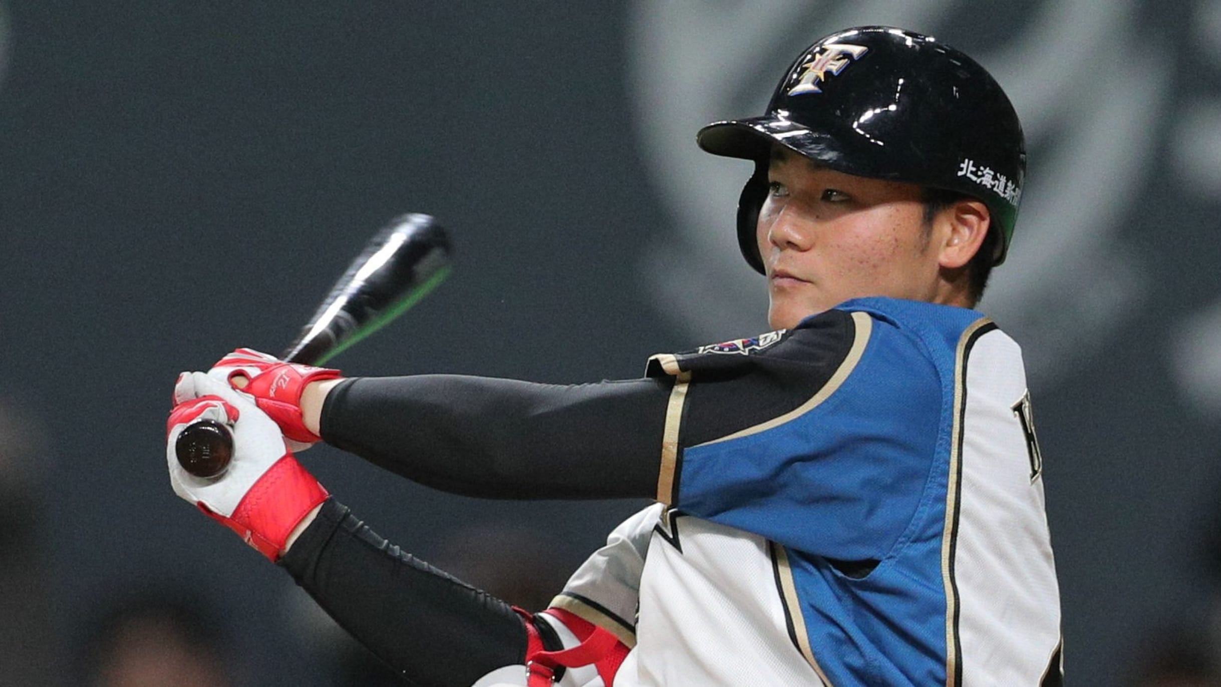 NPB 阪神タイガース藤浪晋太郎バット | www.hospitalakshayavat.com