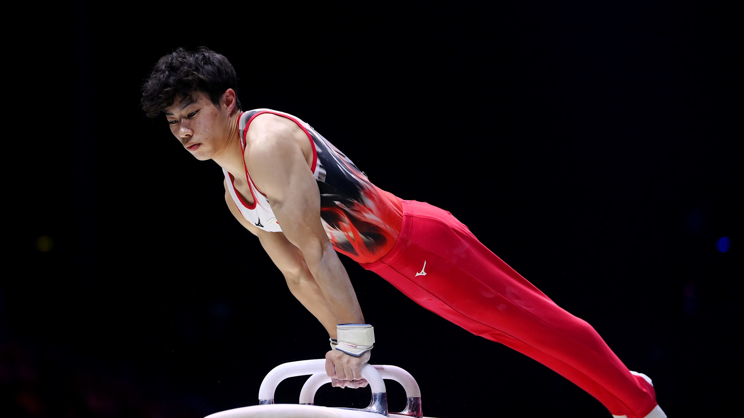 注目の 幻のスポーツ王国東ドイツ体操の秘密オリンピック吊り輪鞍馬