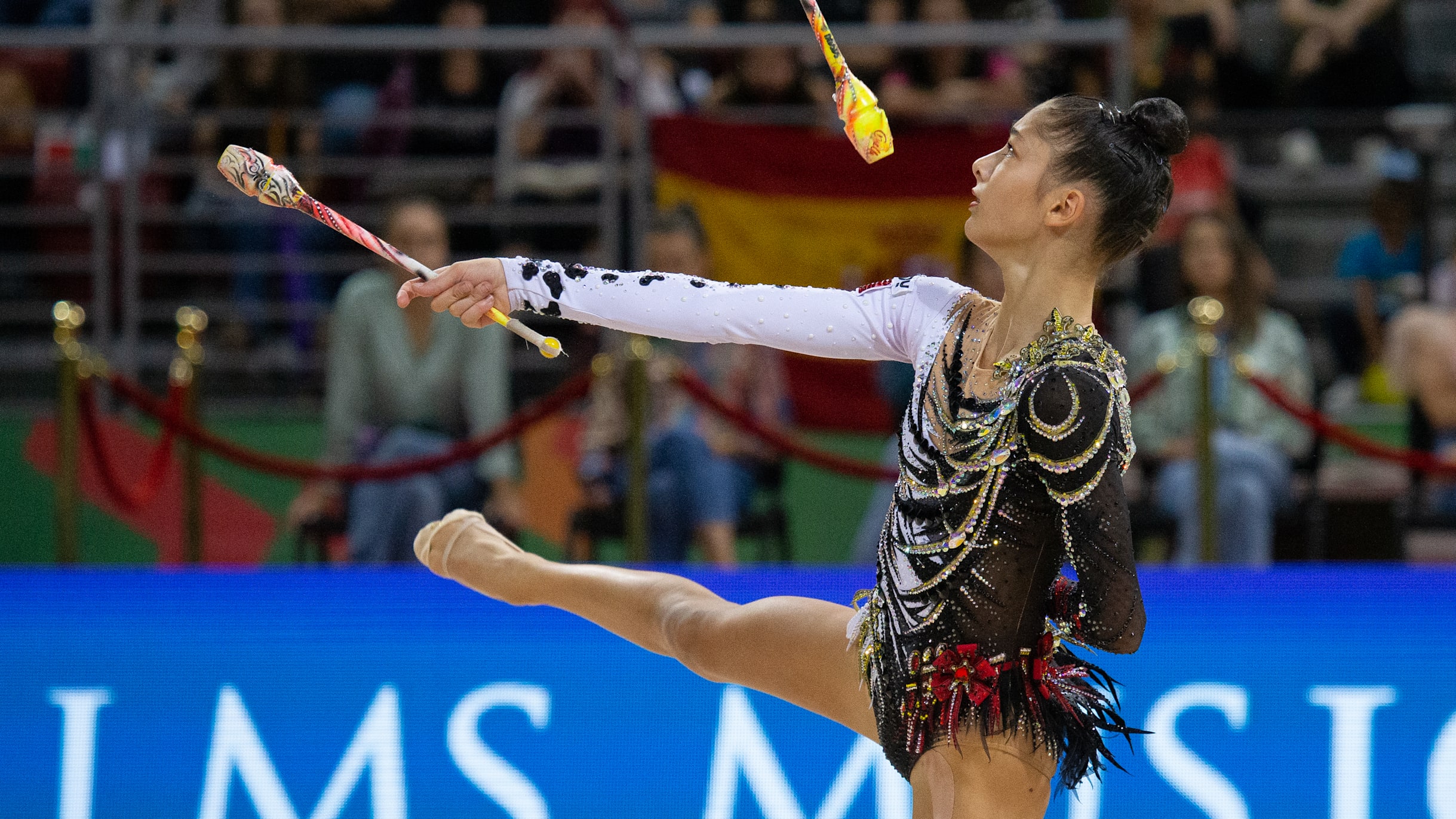 Rhythmic Gymnastics Olympic Leotards