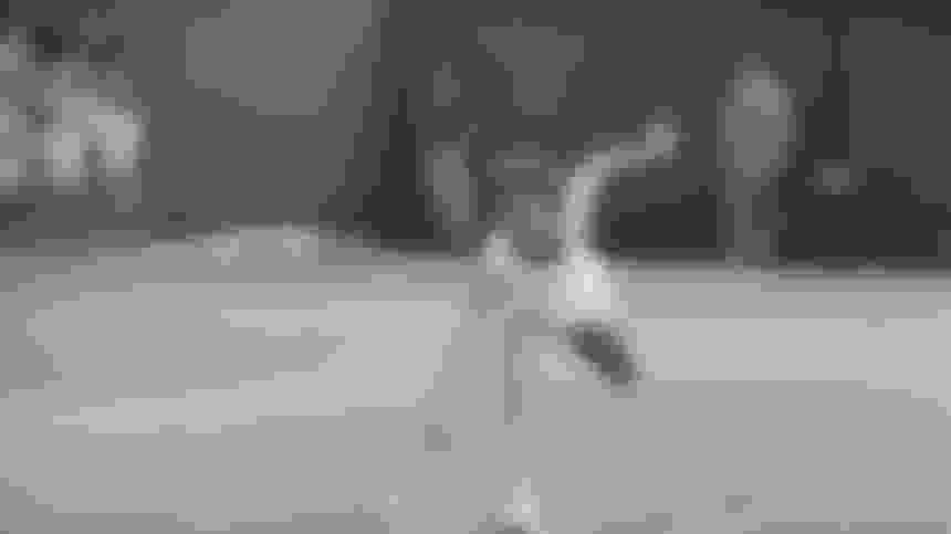 Evonne Goolagong Cawley: The impossible dream of the Australian tennis