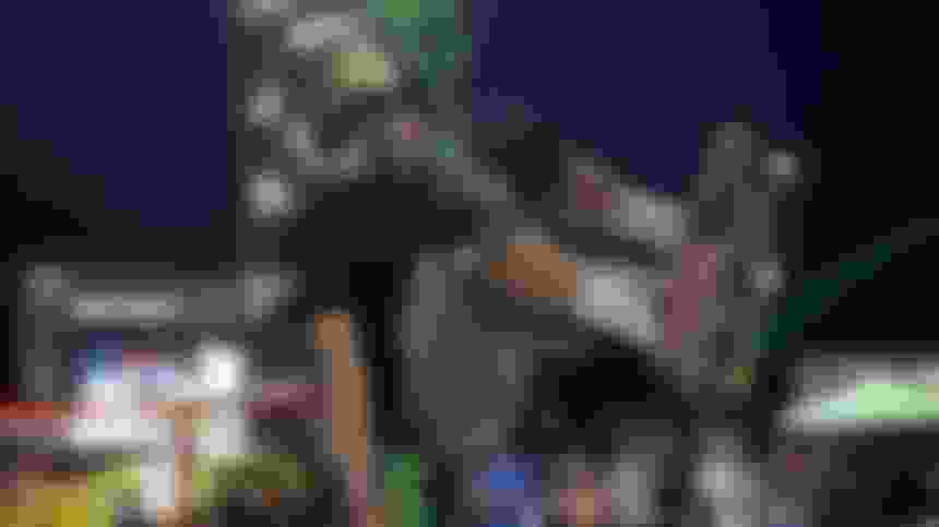 Olympic gold medallist Keegan Palmer on adjusting to his champion