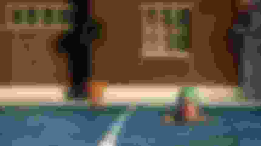 The benefits of swimming: a beginner’s guide | Olympic Channel